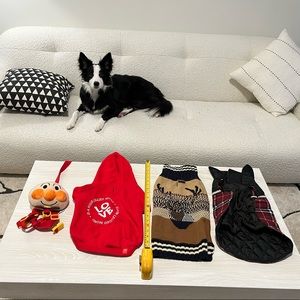 3/$10 dog cloth and backpack bundle for your furry friends